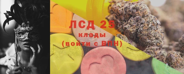 ГАЛЛЮЦИНОГЕННЫЕ ГРИБЫ Гусь-Хрустальный