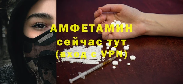 ГАЛЛЮЦИНОГЕННЫЕ ГРИБЫ Гусь-Хрустальный
