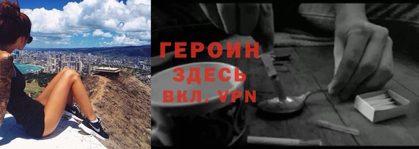 ГАЛЛЮЦИНОГЕННЫЕ ГРИБЫ Гусь-Хрустальный
