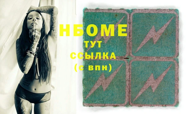 ГАЛЛЮЦИНОГЕННЫЕ ГРИБЫ Гусь-Хрустальный