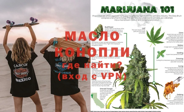 ГАЛЛЮЦИНОГЕННЫЕ ГРИБЫ Гусь-Хрустальный