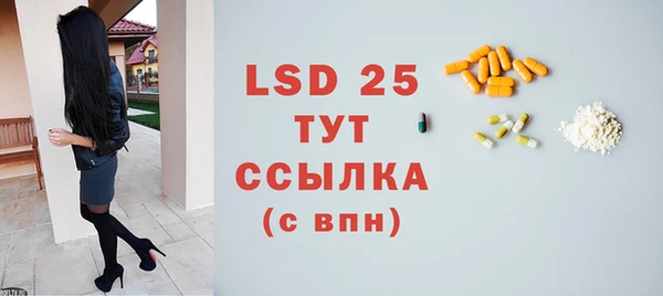ГАЛЛЮЦИНОГЕННЫЕ ГРИБЫ Гусь-Хрустальный