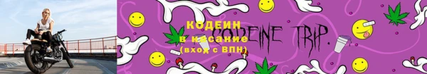 ГАЛЛЮЦИНОГЕННЫЕ ГРИБЫ Гусь-Хрустальный