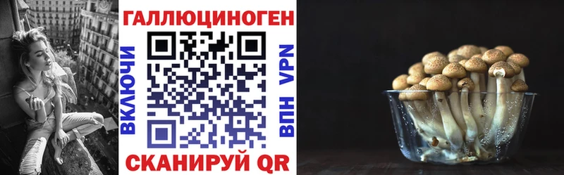 Псилоцибиновые грибы Psilocybine cubensis  Купить закладки  Сосногорск 